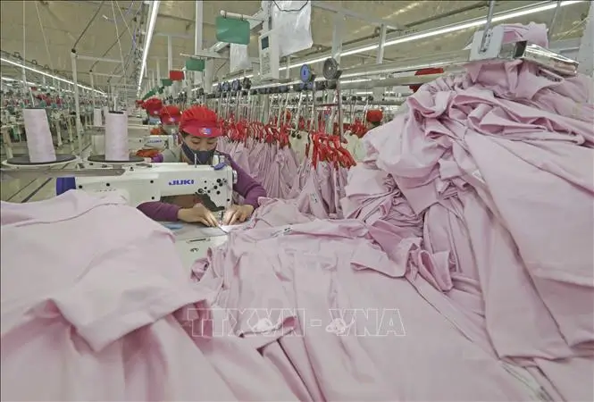 Sewing export goods at Tinh Loi Garment Company, Hai Duong. Photo: Tran Viet/VNA